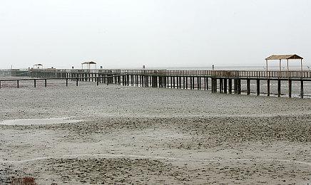 《最后的生还者》第二季乔尔和蒂娜的关系或与游戏不同